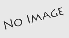 Guanajuato celebra el Año Nuevo Chino con el festival “Fuego de Oriente” y agenda llena de actividades