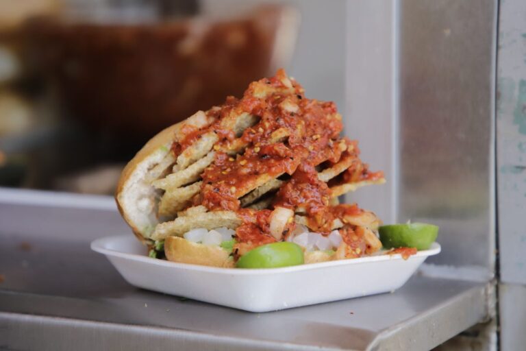 La famosa y deliciosa guacamaya.