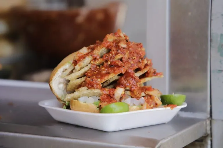 La famosa y deliciosa guacamaya.