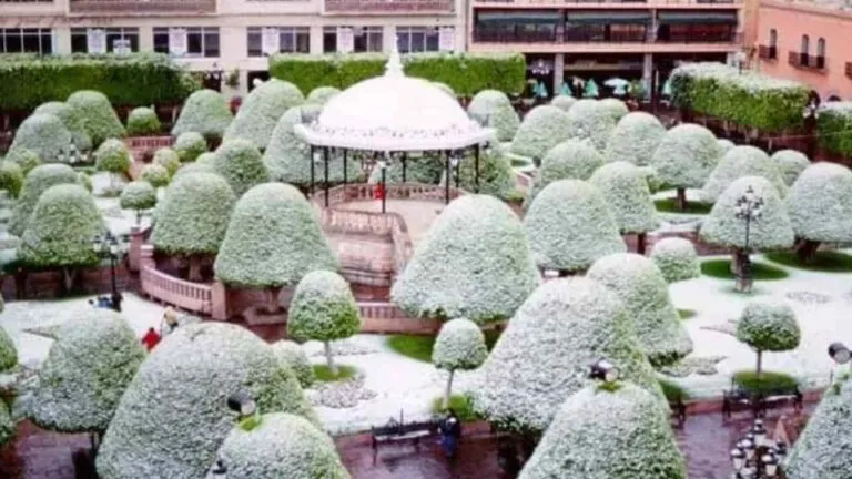 Nevada en León panorama.