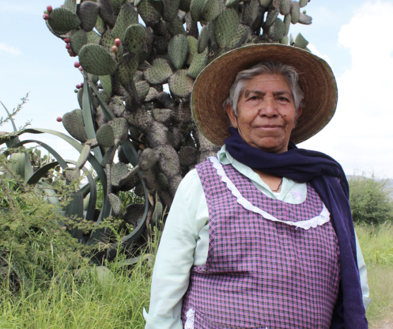 Las mujeres migrantes guanajuatenses tienen un gran peso para el estado.