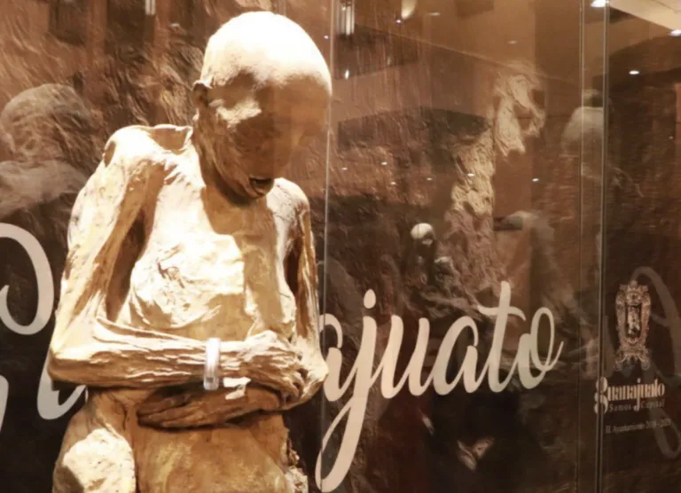 ¿Se han convertido las Momias de Guanajuato en un simple atractivo turístico?