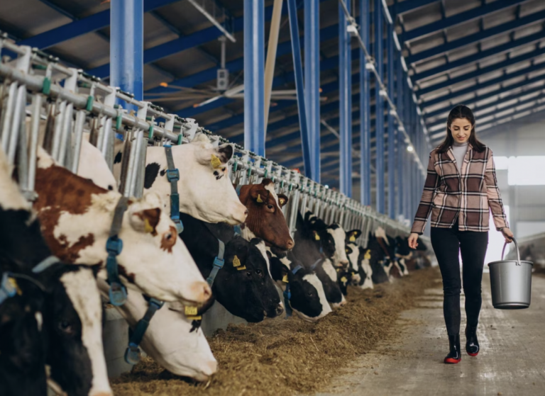 Industria lechera de Guanajuato, la quinta mejor del país.