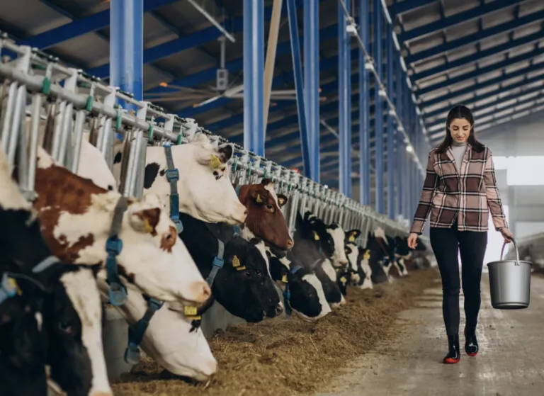 Industria lechera de Guanajuato, la quinta mejor del país.