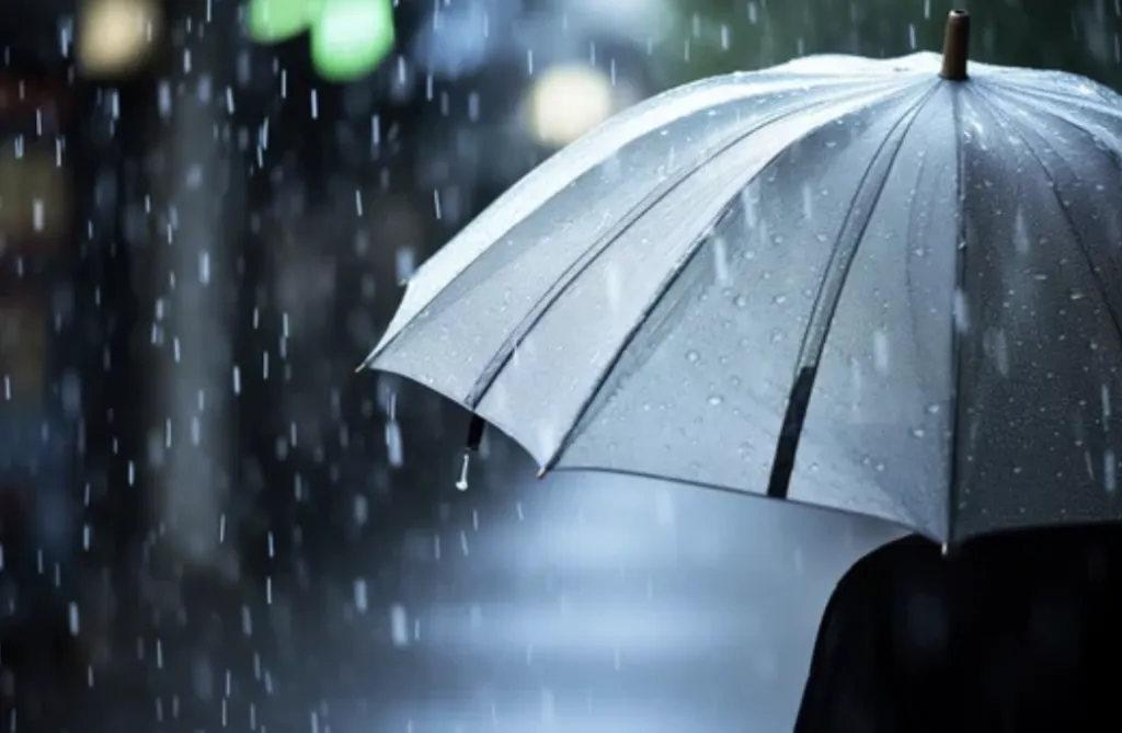 Empezaron las precipitaciones en Guanajuato.