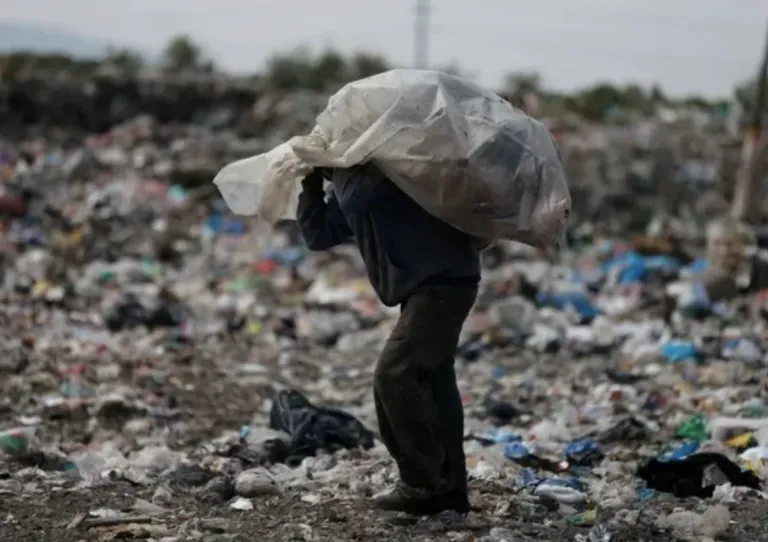 La pepena está en riesgo e Guanajuato, siendo esto un problema para quienes se dedican a ella.