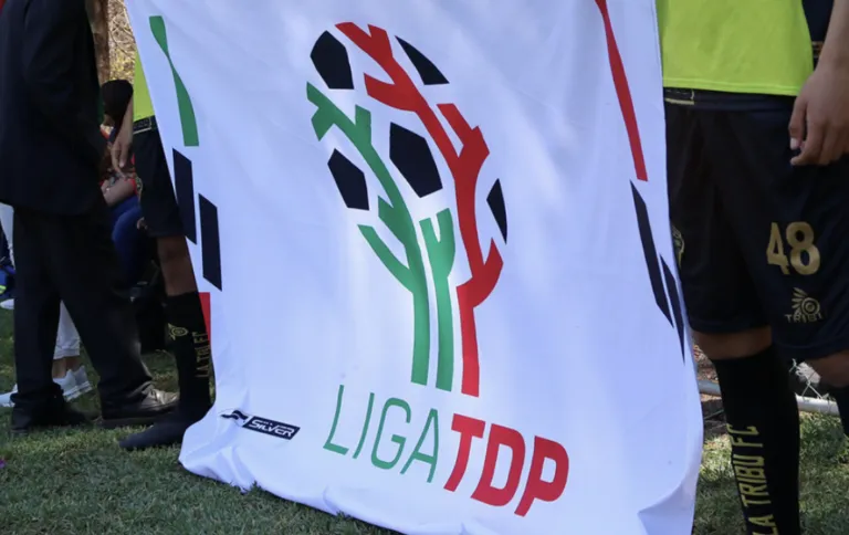 Actualmente, Guanajuato Capital no cuenta con ningún equipo de fútbol en la Tercera División Profesional (TDP).