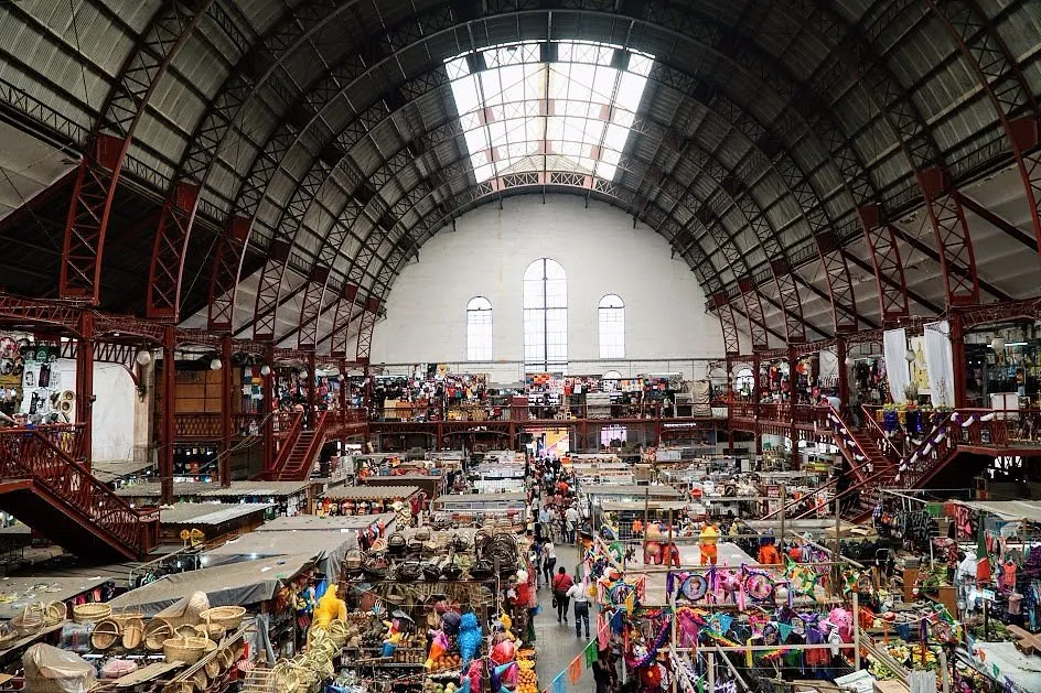 Locatarios del Mercado Hidalgo suelen cuidar y alimentar a perros y gatos.