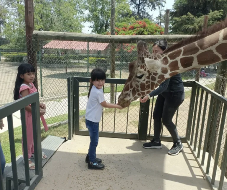 Zoológico de Irapuato