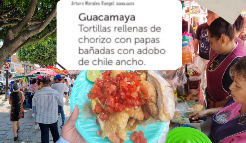 Error en receta de guacamaya en libros de texto