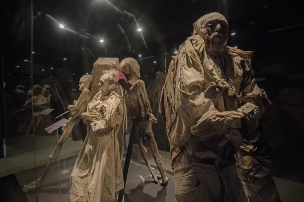 El Museo de las Momias de Guanajuato es considerado el principal atractivo turístico de Guanajuato Capital.