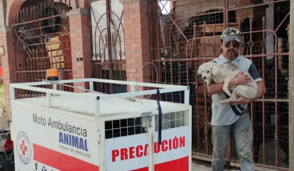Moto ambulancia animal llega a Salamanca