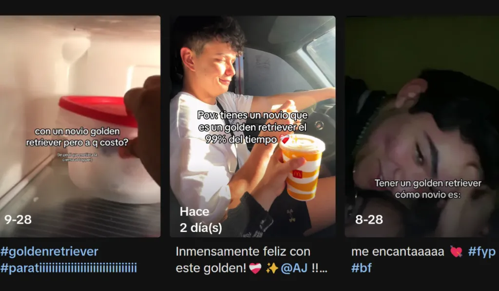 Hombres "Golden Retriever": tendencia que redefine el ideal romántico