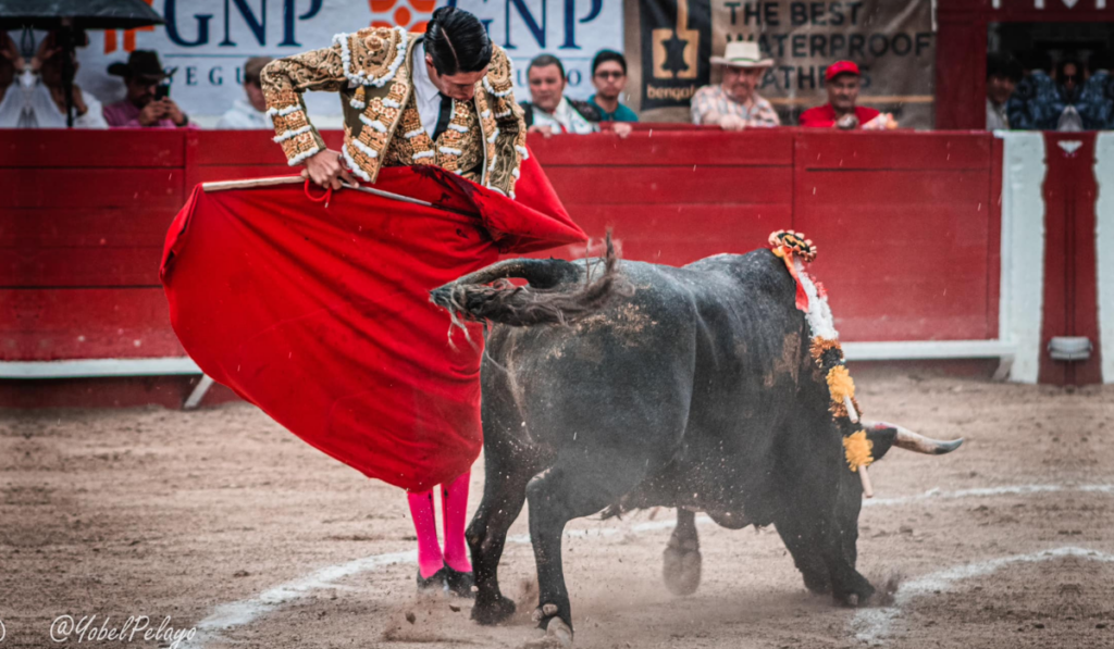 Vana a celebrar con Fiesta Brava a Guanajuato