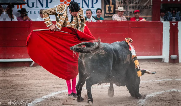 Vana a celebrar con Fiesta Brava a Guanajuato