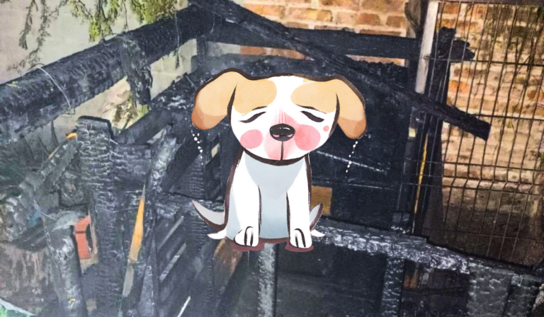 Incendio en albergue en Celaya