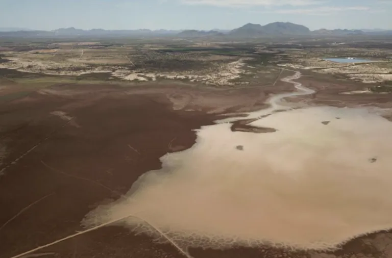 Diferentes niveles de sequía ya cubren todo el territorio guanajuatense.