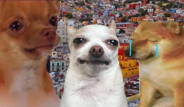 Top 5 lugares para llorar en Guanajuato y desahogarse