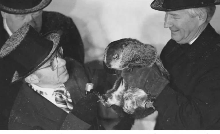 El primer Día de la Marmota fue en 1886.