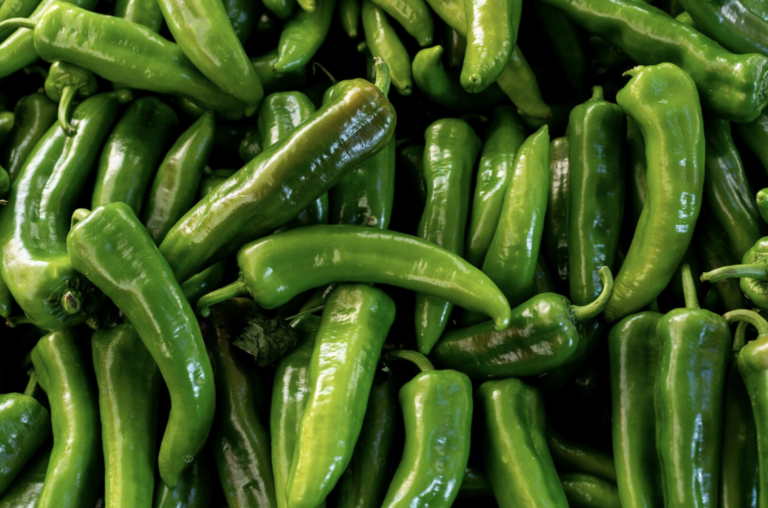 La Secretaría de Agricultura y Desarrollo Rural informó que Sinaloa, Chihuahua, Jalisco, Sonora y Zacatecas, en conjunto, aportan cerca del 67 por ciento del volumen nacional de chile verde.