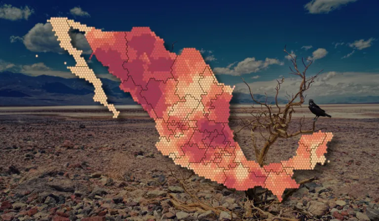 Crisis de sequía en Guanajuato: Estado de alerta máxima