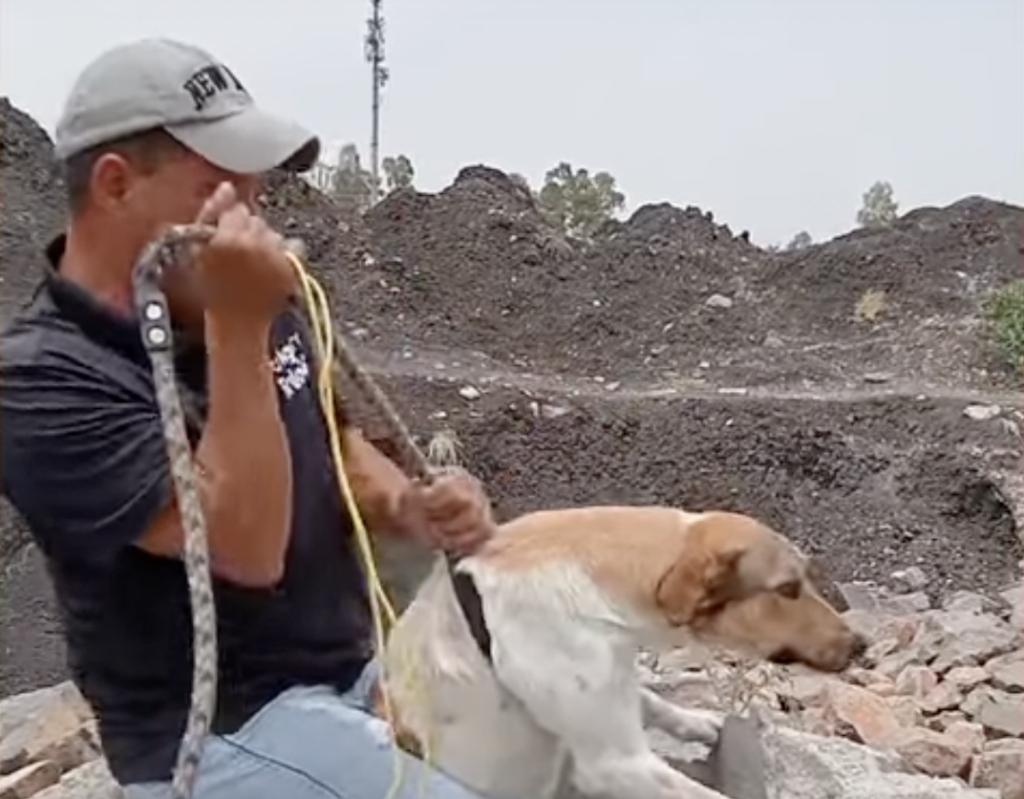 La perrita rescatada del pozo en León, Guanajuato, fue bautizada como Libertad.