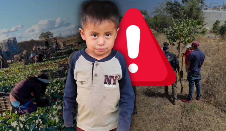 Desaparece niño de tres años, esperaba a sus padres jornaleros en una sombra a solo 50 metros