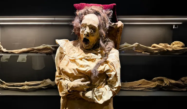 INAH se preocupa por las Momias de Guanajuato y denuncia modificaciones no autorizadas en museo