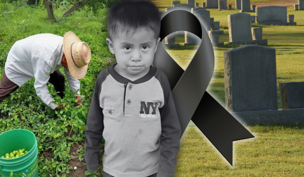 Identifican restos de Javier Modesto, niño indígena desaparecido en Gto.