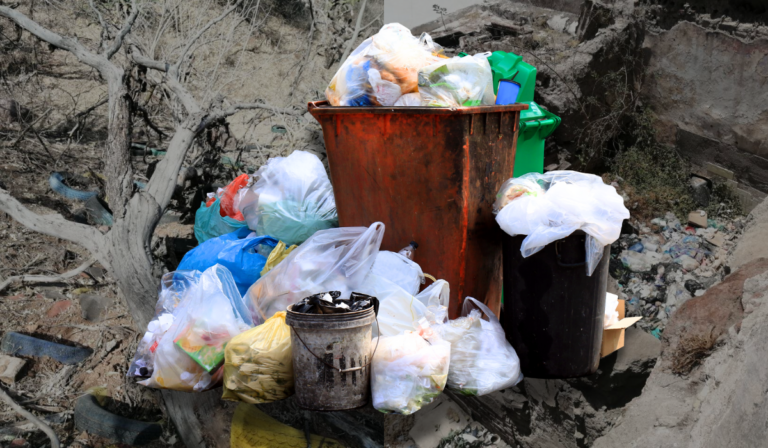 Crisis ambiental en Guanajuato