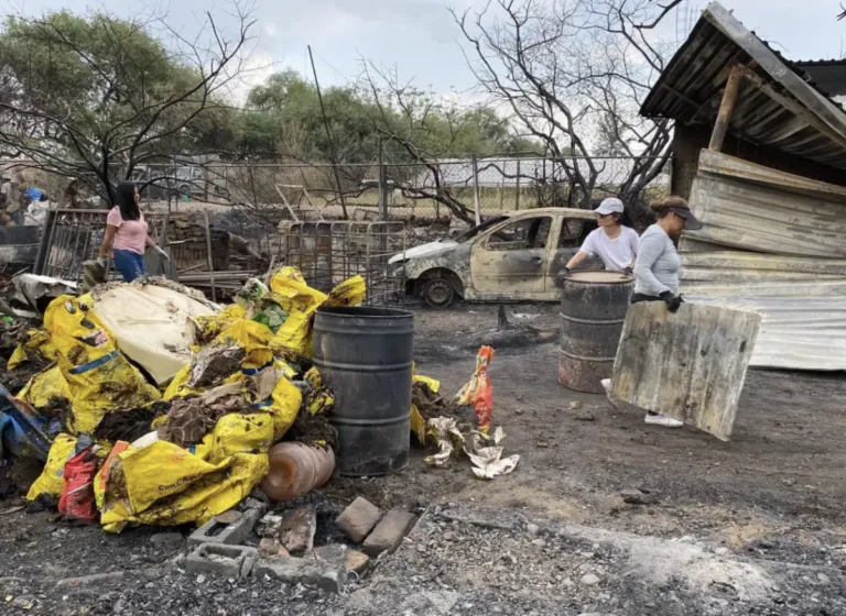 Además de los 19 perritos, también murieron algunas gallinas a causa de las llamas.
