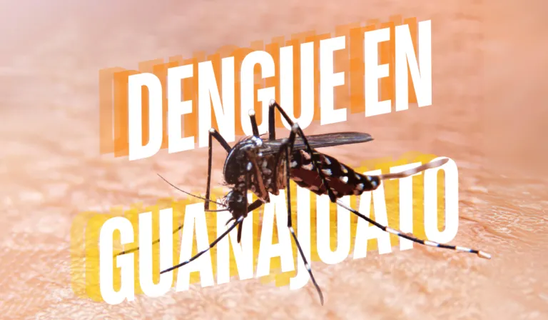 Guanajuato se prepara contra el dengue