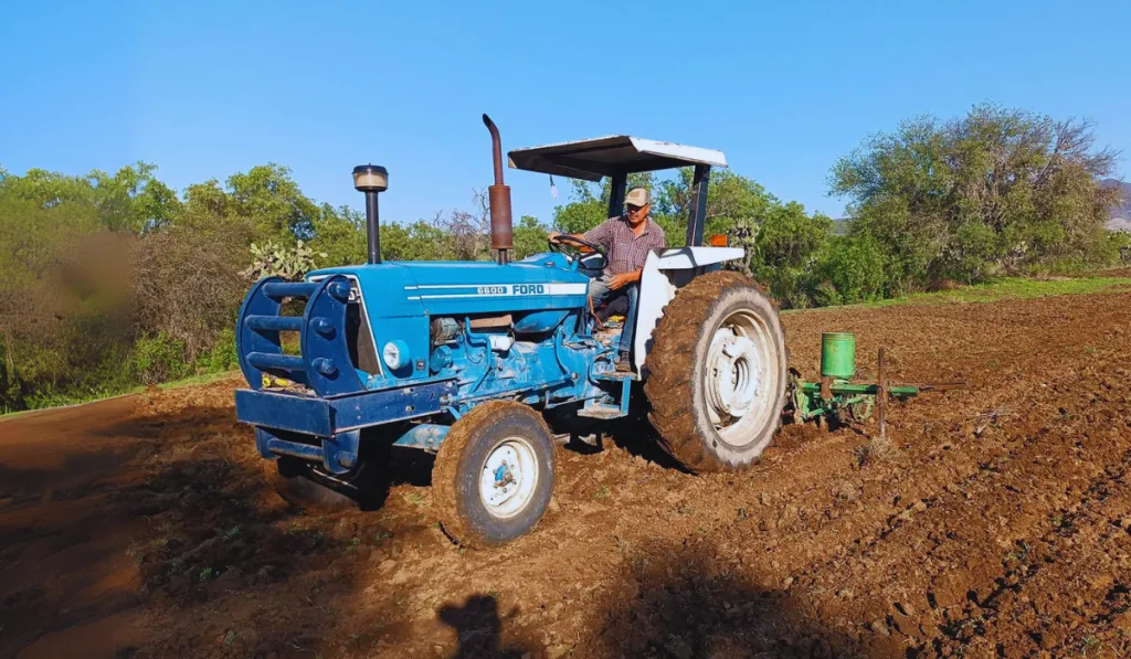 Gracias a las lluvias los agricultores guanajuatenses esperan mejores cosechas