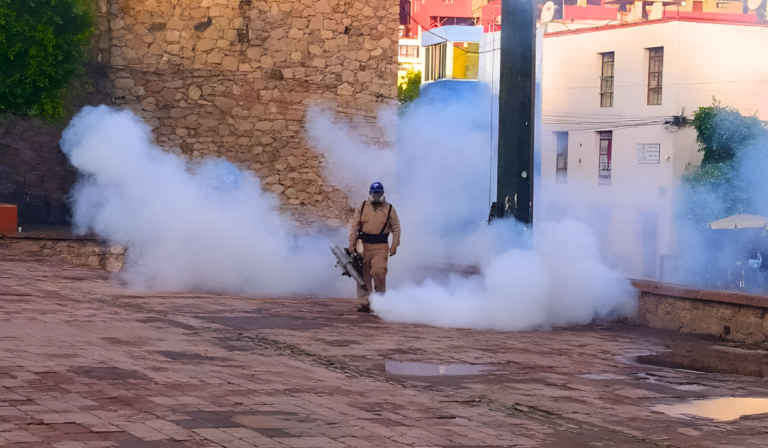 Guanajuato refuerza medidas de prevención contra el dengue en temporada de lluvias