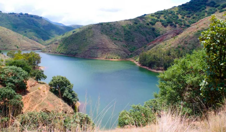 Guanajuato garantiza agua potable para todo un año gracias a niveles óptimos en presas