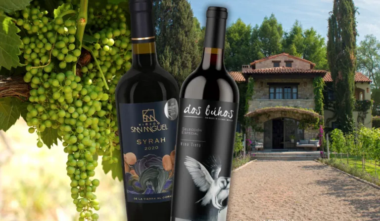 Seis viñedos imperdibles en Guanajuato