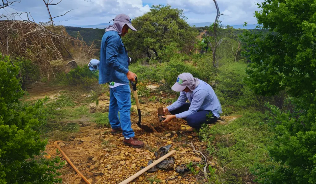 Guanajuato inicia la temporada de reforestación con la plantación de más de 100,000 árboles