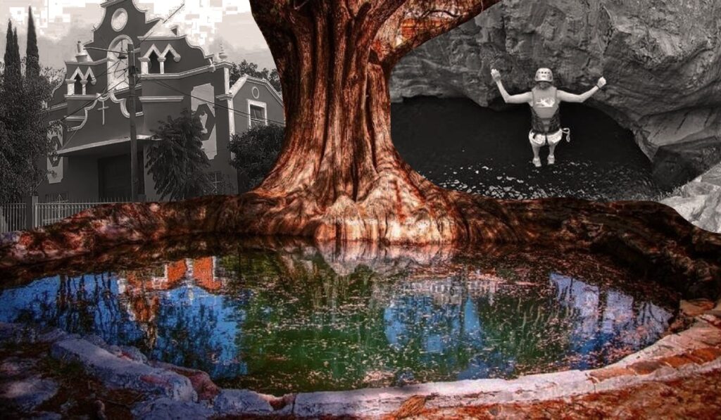 Visita la comunidad de Sauz de Fuentes y su enorme Ahuehuete