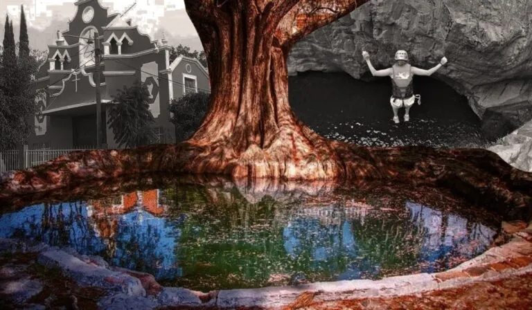 Visita la comunidad de Sauz de Fuentes y su enorme Ahuehuete