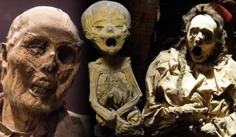 Recorridos gratuitos en el museo de las momias por el Día de Muertos