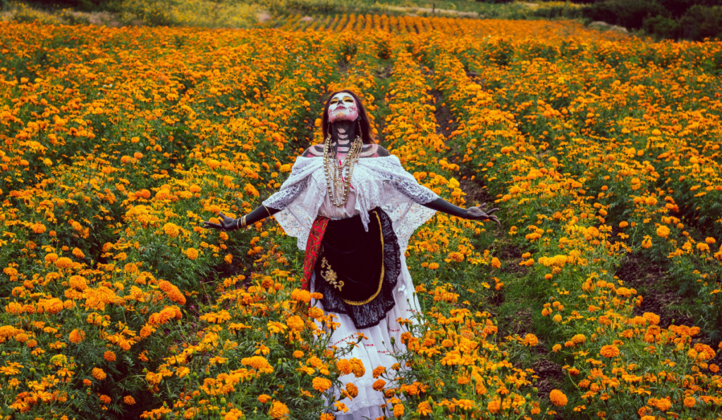 De visita por los campos de cempasúchil en Guanajuato