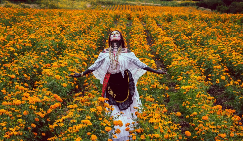 De visita por los campos de cempasúchil en Guanajuato