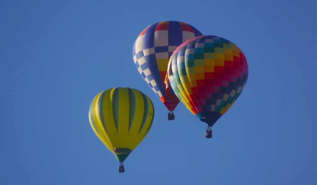 Festival Internacional del Globo (FIG): Inflado de globos gratuitos, costos y consejos para llegar