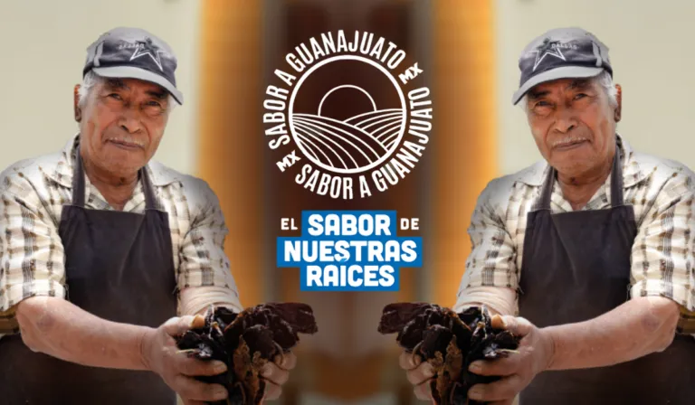 “Sabor a Guanajuato”: El nuevo programa con historias de emprendedores al exportar