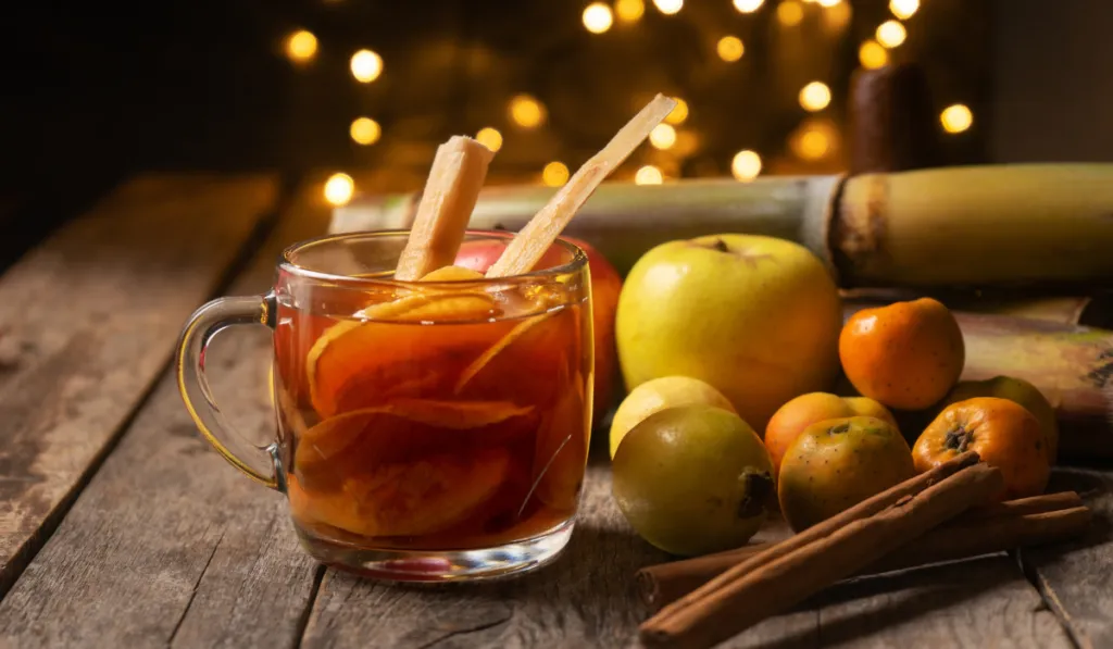 Las Posadas Tradicionales de San Miguel de Allende están listas