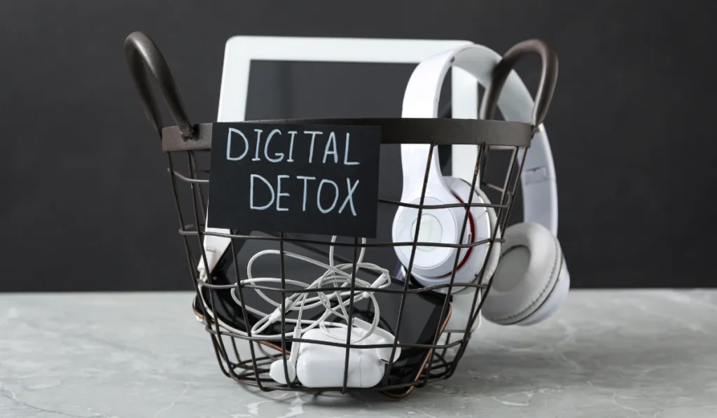 ¿Iniciar el año con un detox digital? Una buena relación con nuestras redes sociales es posible y necesario