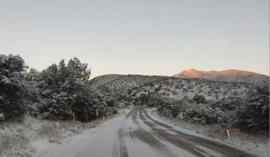 Alertan por caída de nieve en Guanajuato: ¿Qué municipios serán afectados?