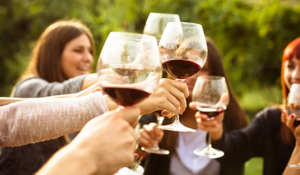 Vino de Guanajuato sorprende a todo México por su calidad