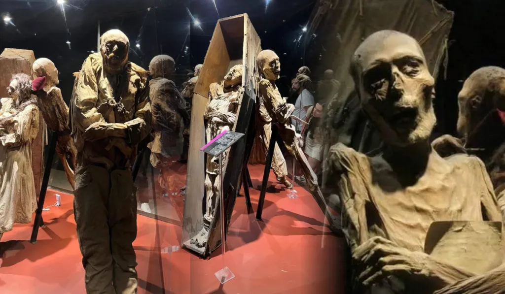 El Museo de las Momias de Guanajuato cerró enero con más de 40 mil visitantes