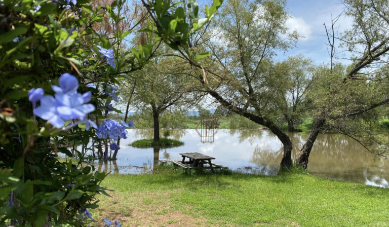 Parque Ecológico Las Mariposas: Un oasis en Guanajuato para desconectarse y explorar
